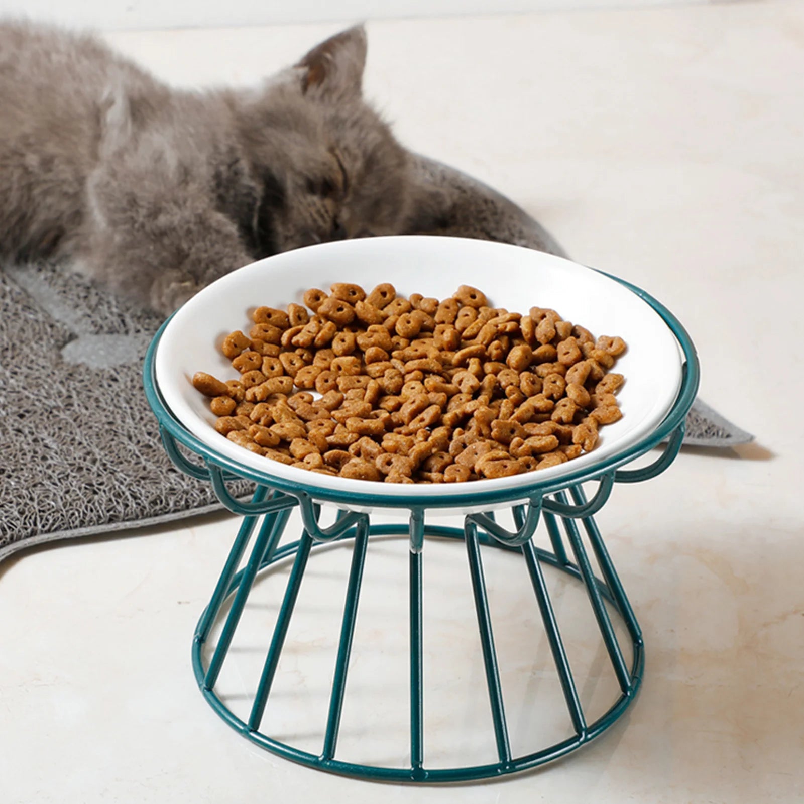 1Pcs Ceramic Cat Food Bowl Wide Safe Pets Water Food Bowls Non Slip Shallow Dish for Kittens