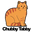 ChubbyTabby logo